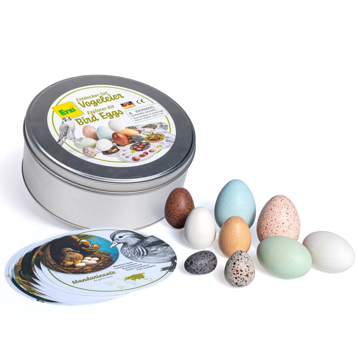 Erzi Entdecker-Set Vogeleier 19 Teile